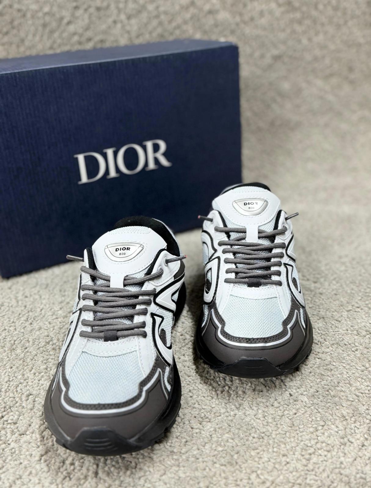 DIOR B30